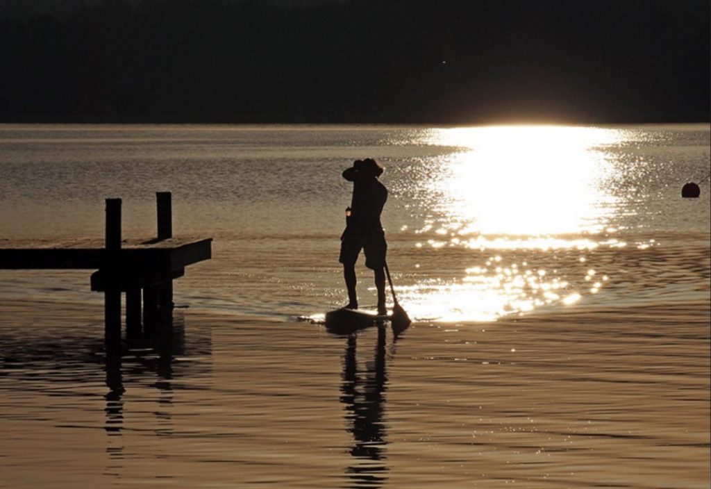 Qu Est Ce Qui Court Et Qui Se Jette Paddle board : le sport aquatique pour un coaching sportif qui en jette