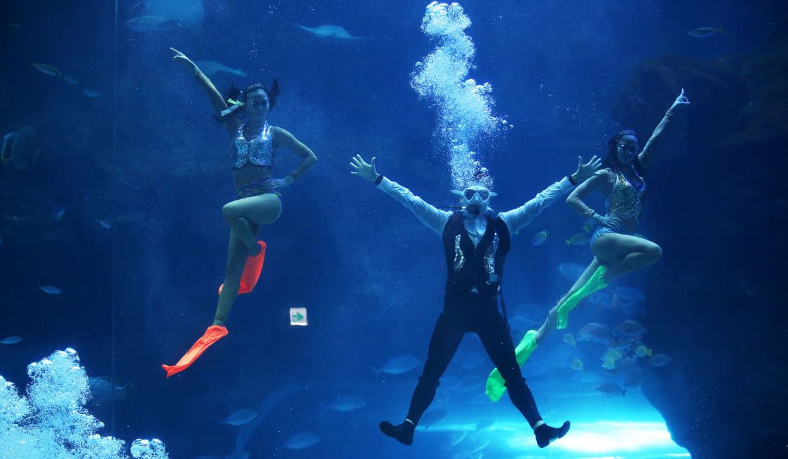 3 personnes font de la plongé sous marine