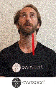 Démonstration de l'extension du muscle long du cou