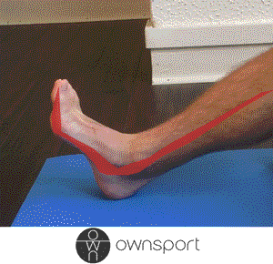 Étirements de la jambe et du long fléchisseur de l'hallux