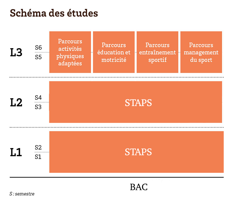 diplome universitaire apa