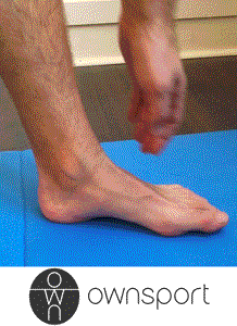 Étirements du pied : Abducteur de l’hallux