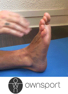 Étirements du pied : Court fléchisseur des orteils