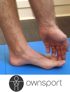 Court fléchisseur de l'hallux étiré