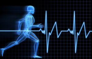 Programme d'entrainement et préparation physique