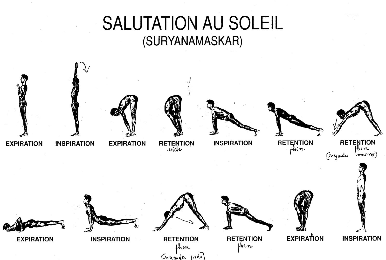Salutation au soleil, le rituel de yoga à apprendre avec un coach sportif