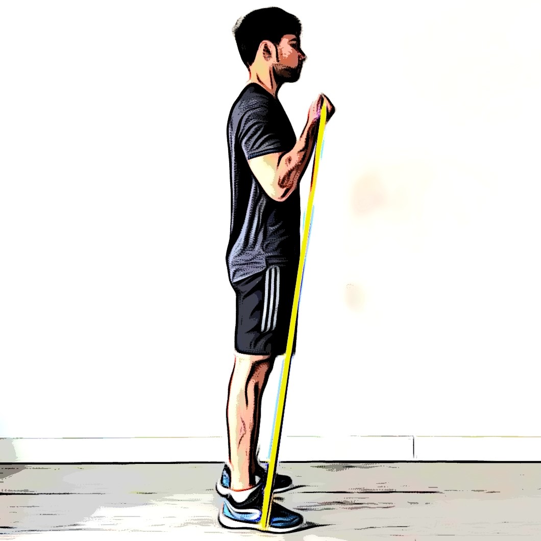 Des bras plus volumineux à l'aide du curl biceps avec élastique