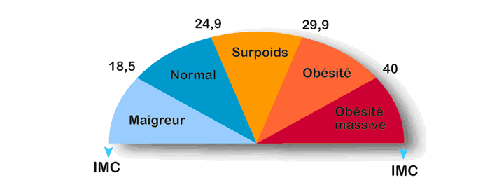 Bareme de l'imc