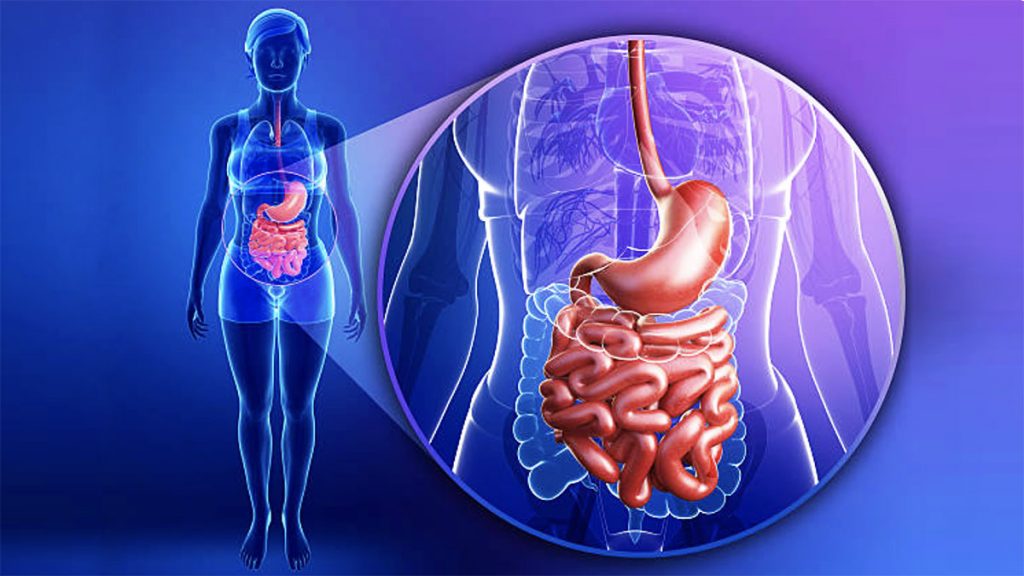 Le diabète et les intestins - Société gastro-intestinale