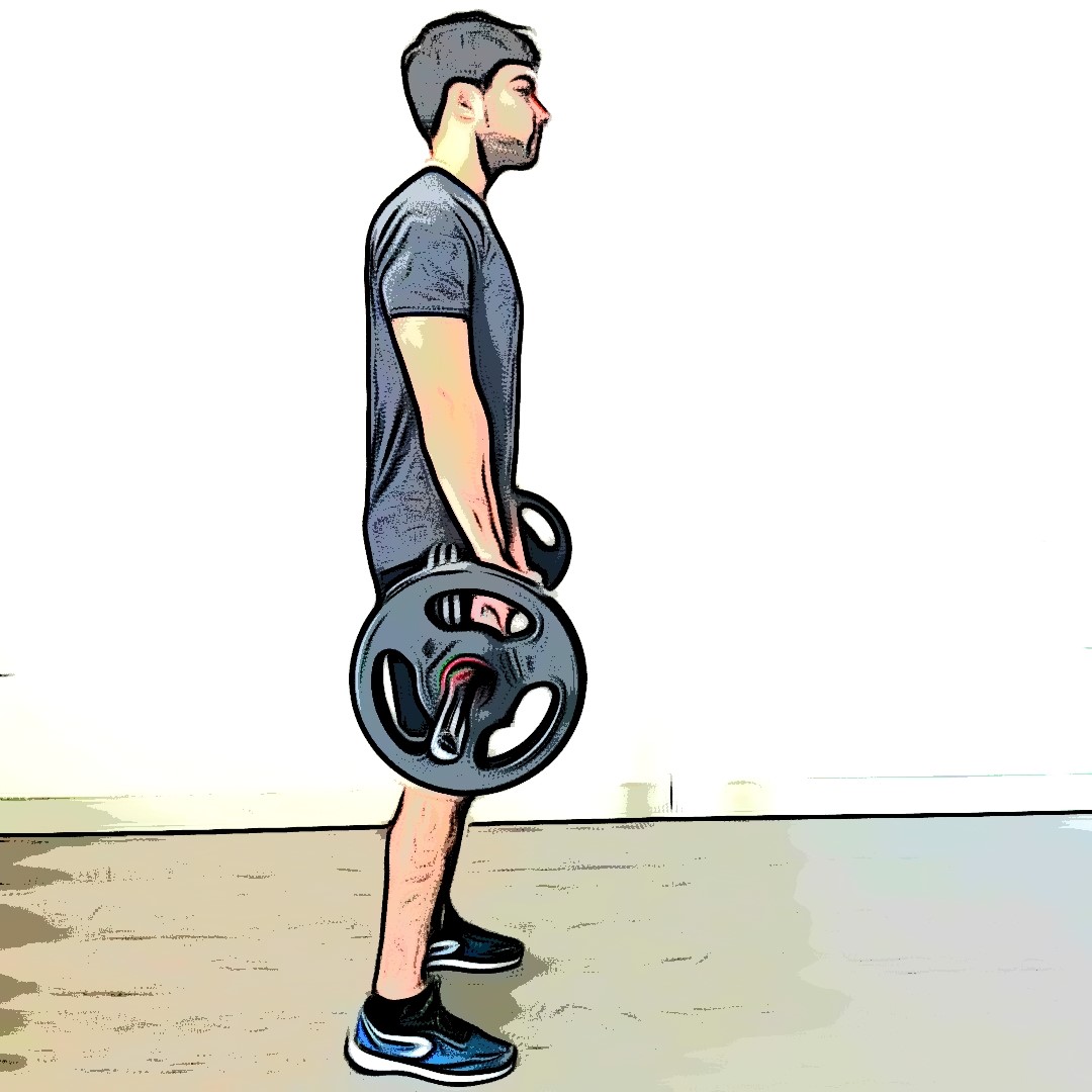 Musclez vos ischio jambiers avec le soulevé de terre jambes tendues Musclez vos ischio jambiers avec le soulevé de terre jambes tendues
