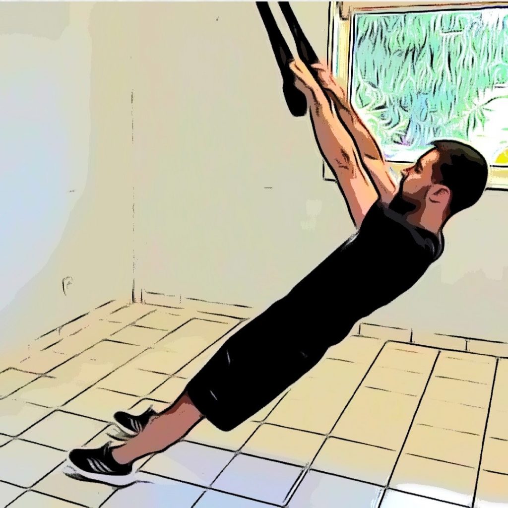 TRX Overhead back extension : replacement