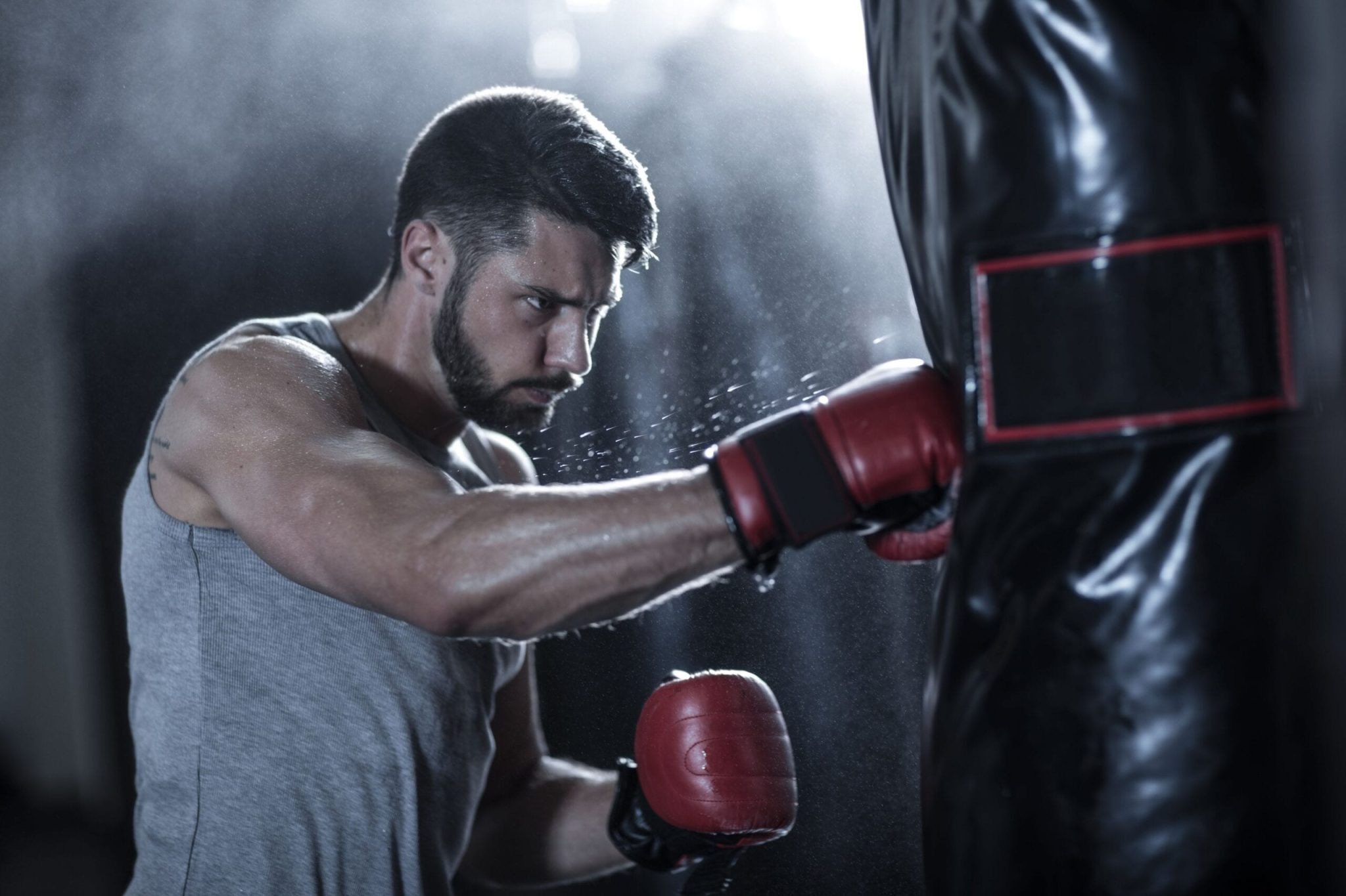 Boxe anglaise l