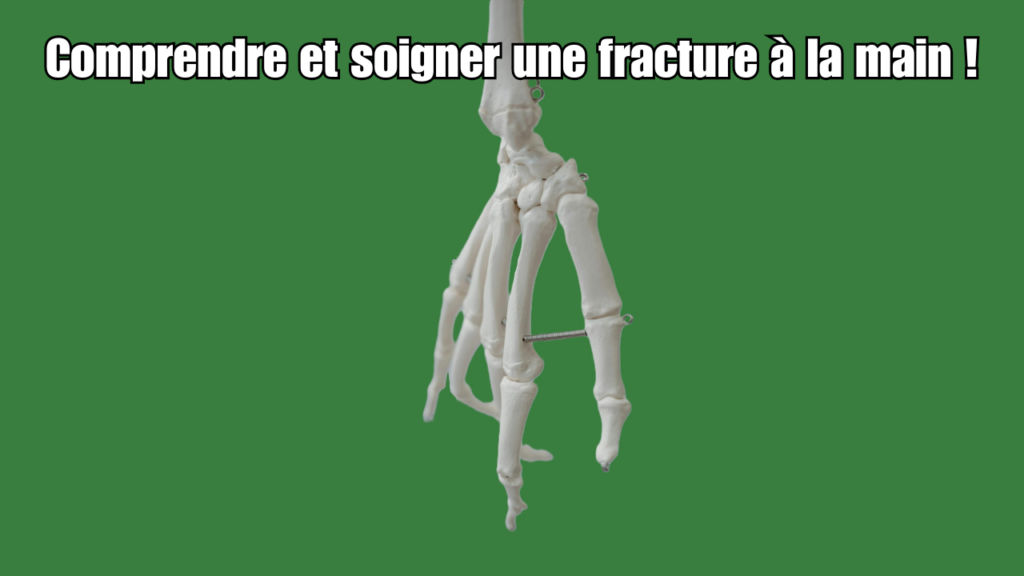 Photo de la main d'un squelette humain.