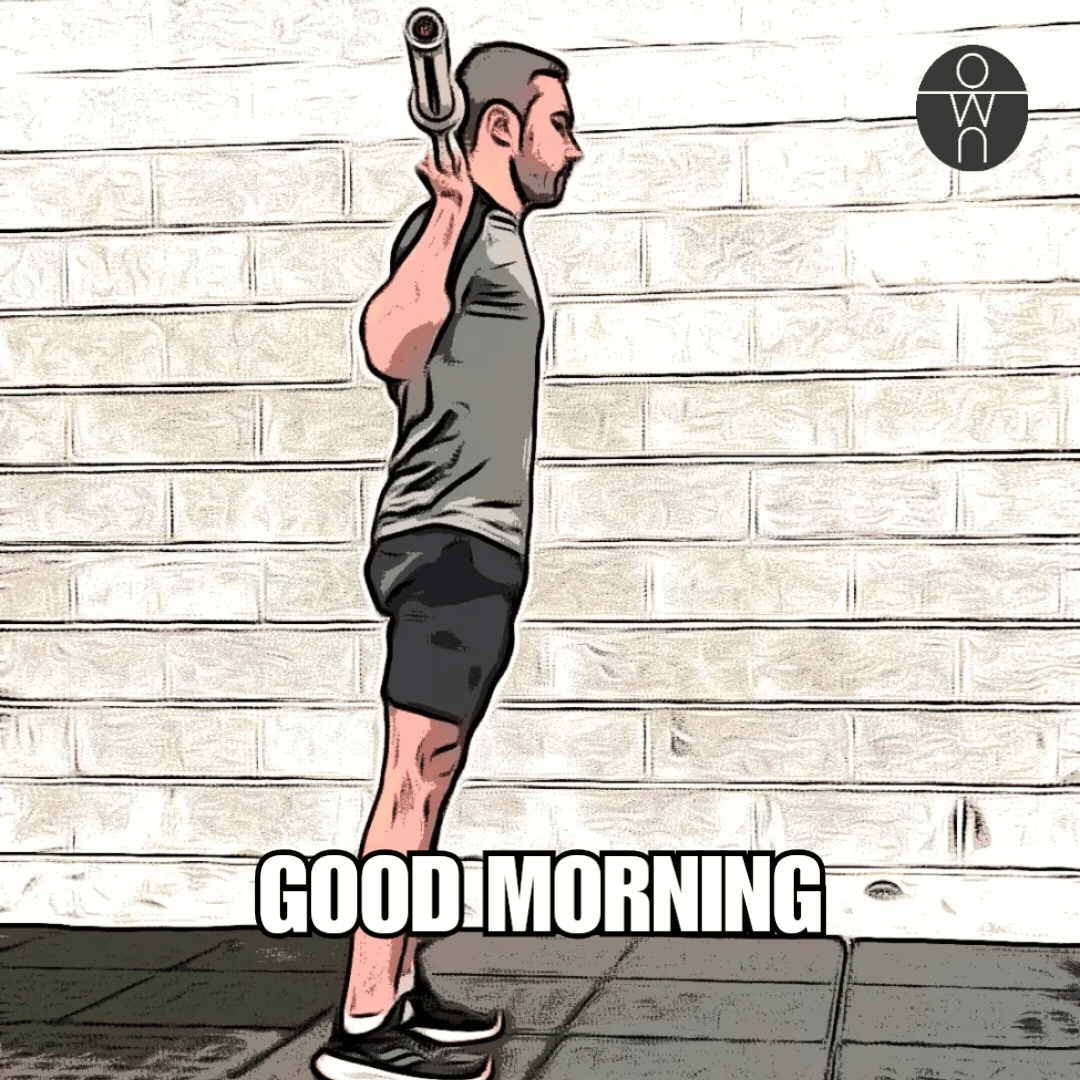Gif animé de notre coach sportif en train d'exécuter l'exercice du good morning avec une barre de musculation dans sa salle de sport.